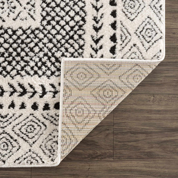 Julio Contemporary Style Black And Ivory Rug - The Rug Decor