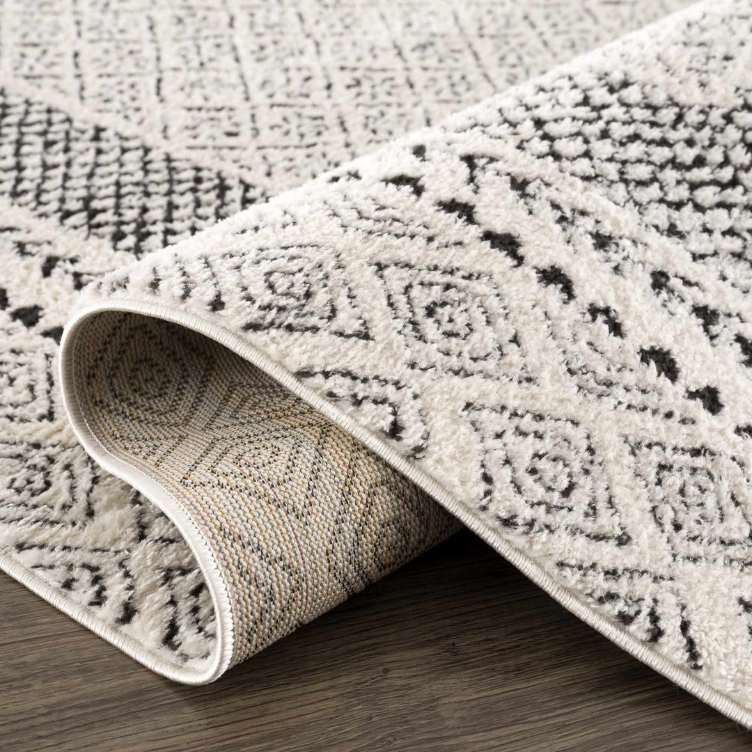 Julio Contemporary Style Black And Ivory Rug - The Rug Decor