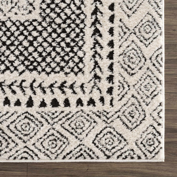 Julio Contemporary Style Black And Ivory Rug - The Rug Decor