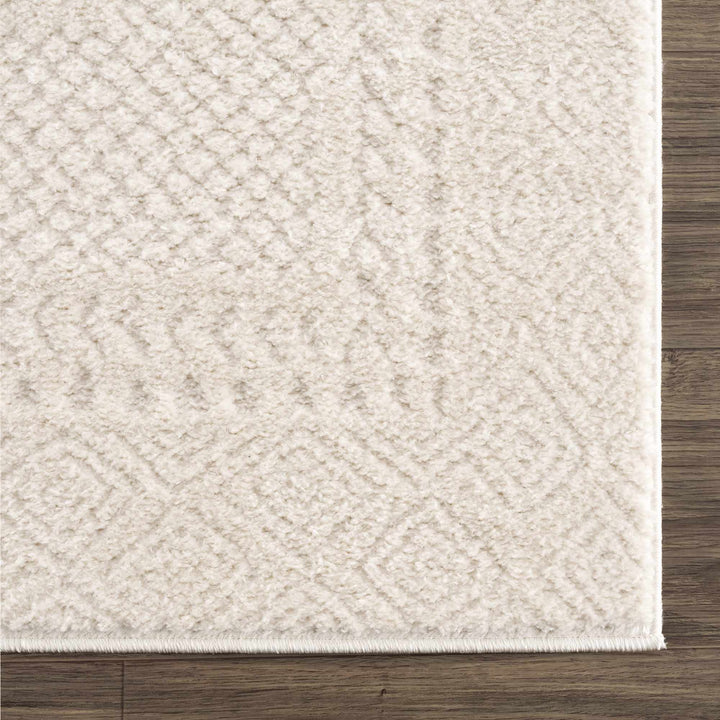 Julio Ivory Contemporary Geometrical Design Rug - The Rug Decor