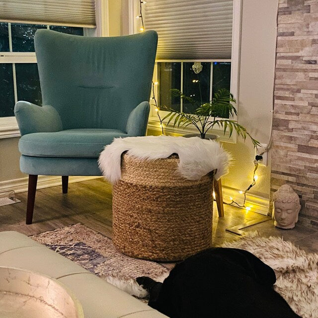Best Rug Material for Dogs: Guide to Choose Pet Friendly Rugs