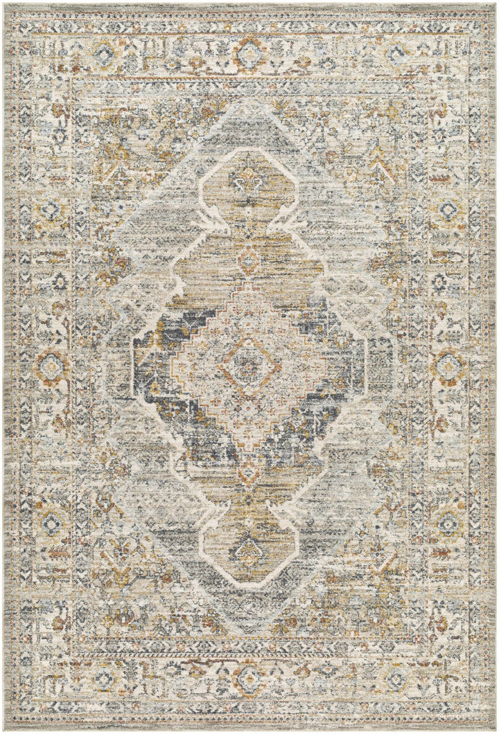 Jyler Traditional Style Beige And Charcoal Area Rug - The Rug Decor