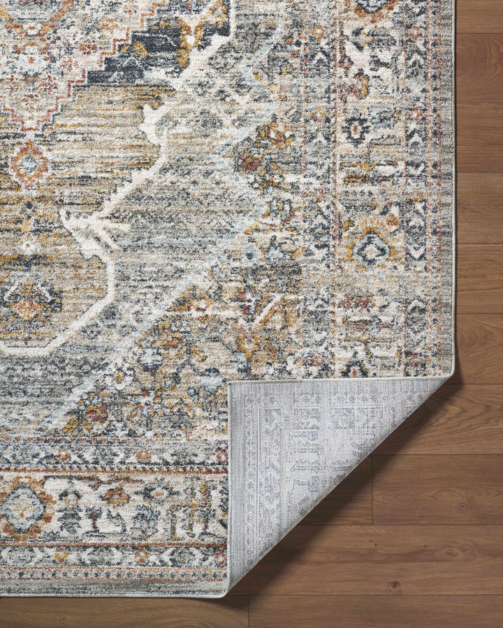 Jyler Traditional Style Beige And Charcoal Area Rug - The Rug Decor