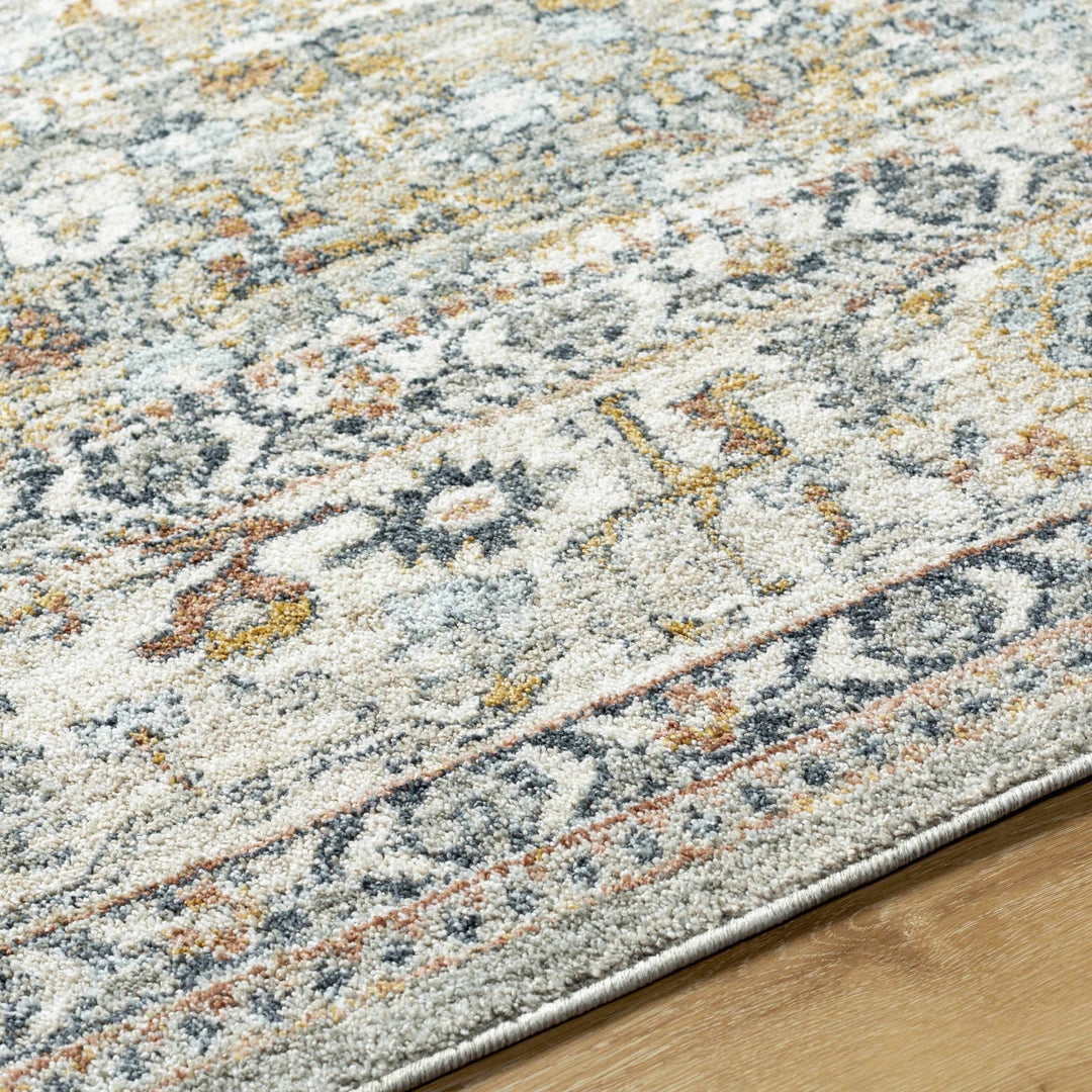 Jyler Traditional Style Beige And Charcoal Area Rug - The Rug Decor