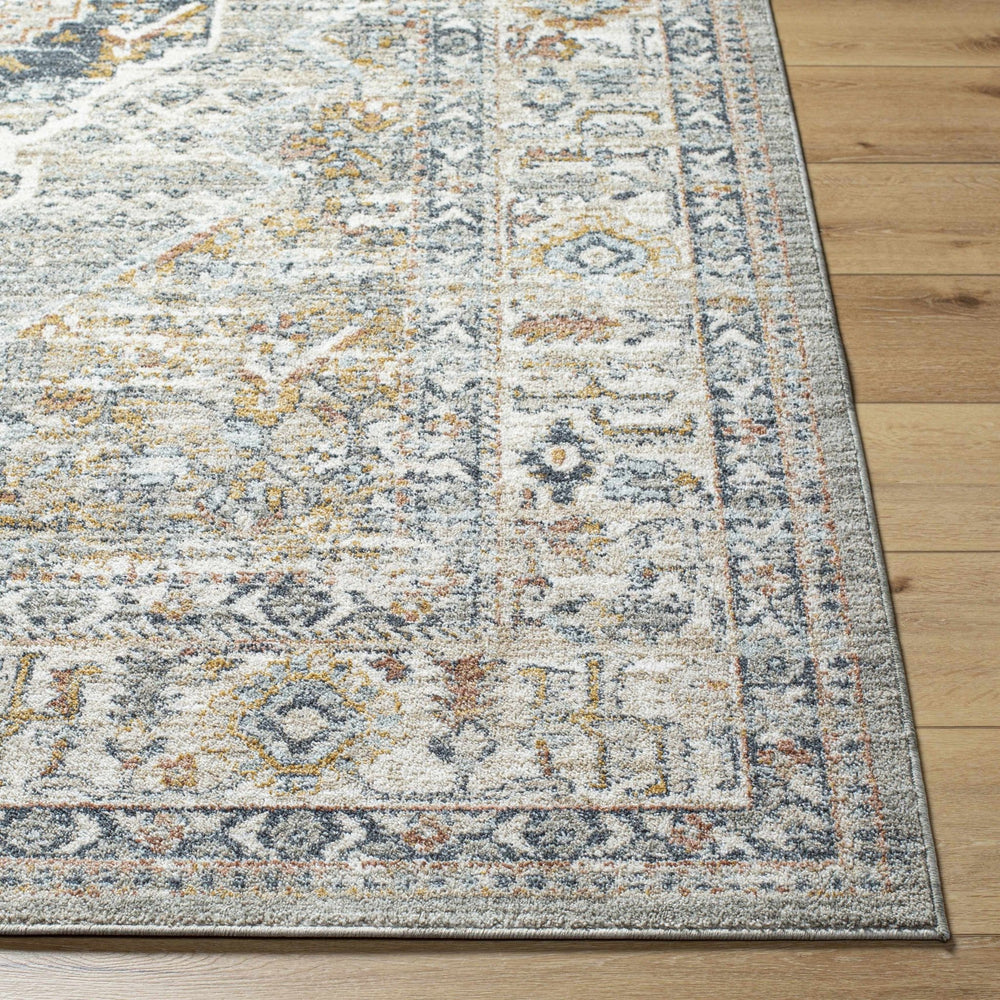 Jyler Traditional Style Beige And Charcoal Area Rug - The Rug Decor