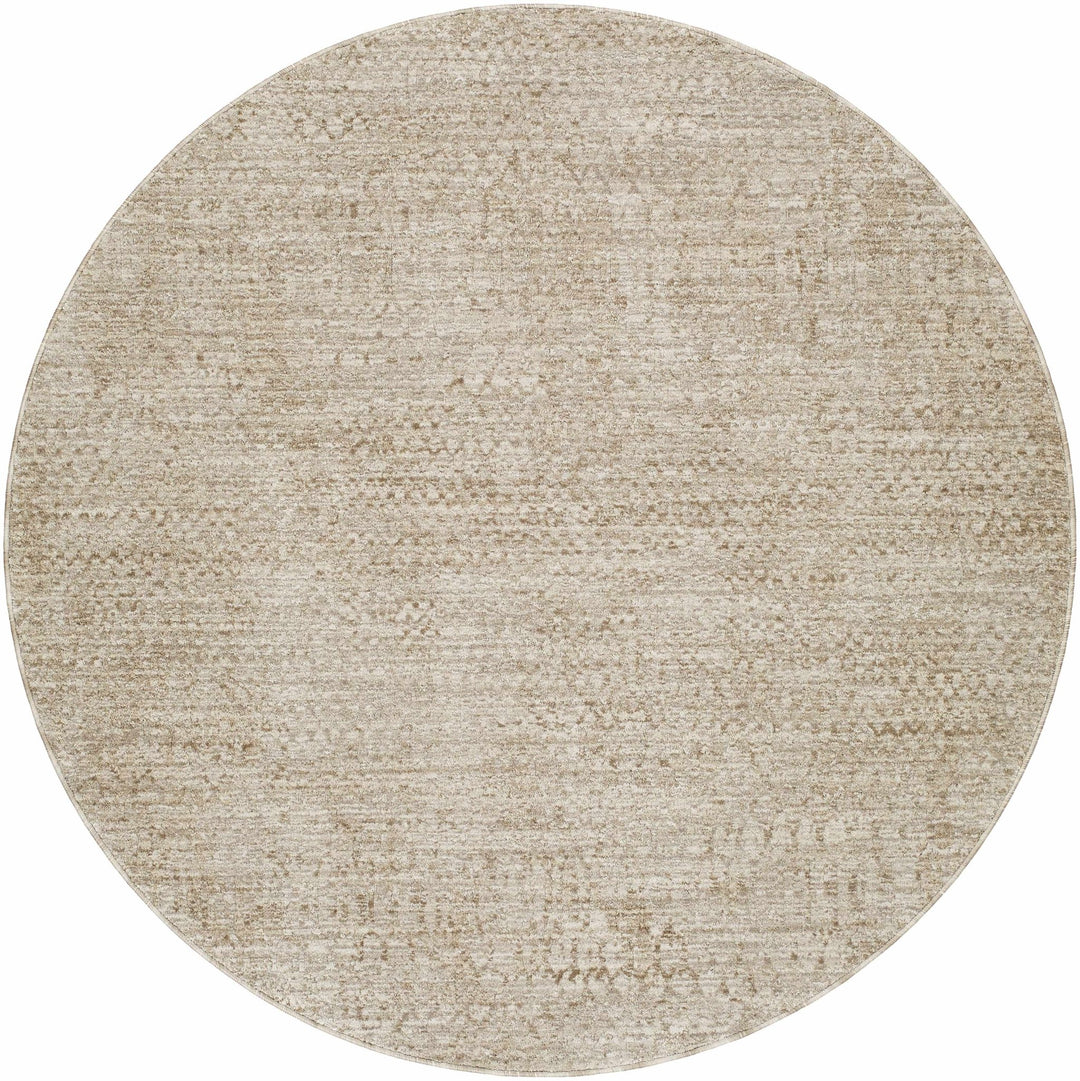 Kaiya Beige Contemporary Style Area Rug - The Rug Decor
