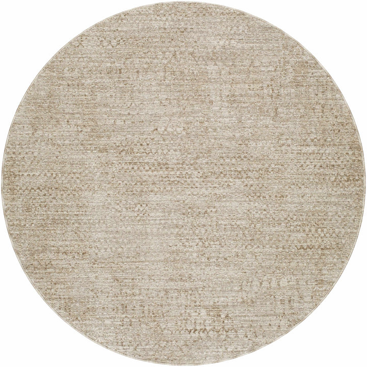 Kaiya Beige Contemporary Style Area Rug - The Rug Decor