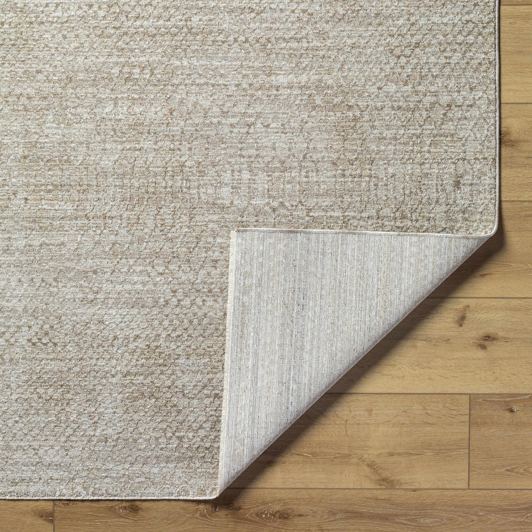 Kaiya Beige Contemporary Style Area Rug - The Rug Decor