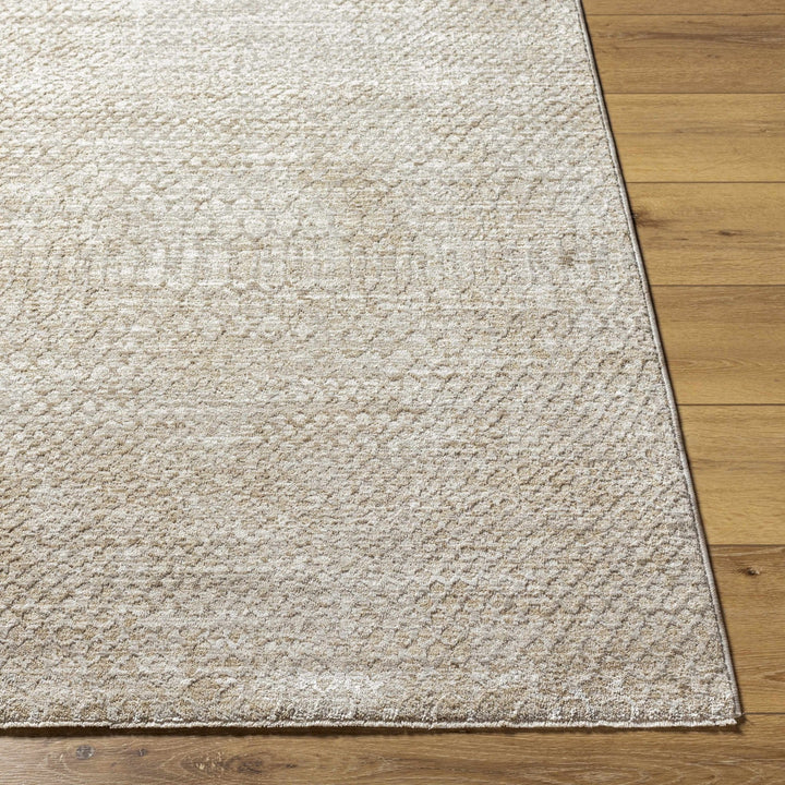 Kaiya Beige Contemporary Style Area Rug - The Rug Decor