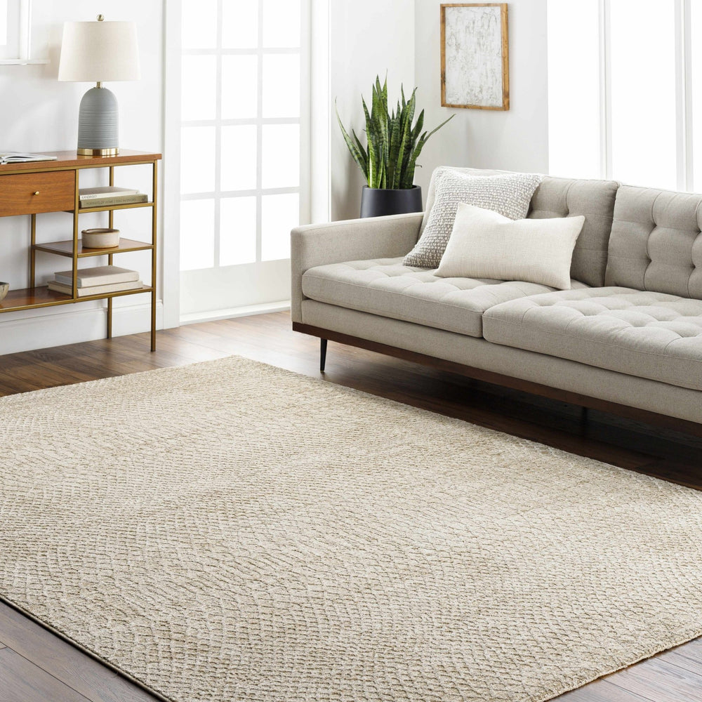 Kaiya Beige Contemporary Style Area Rug - The Rug Decor