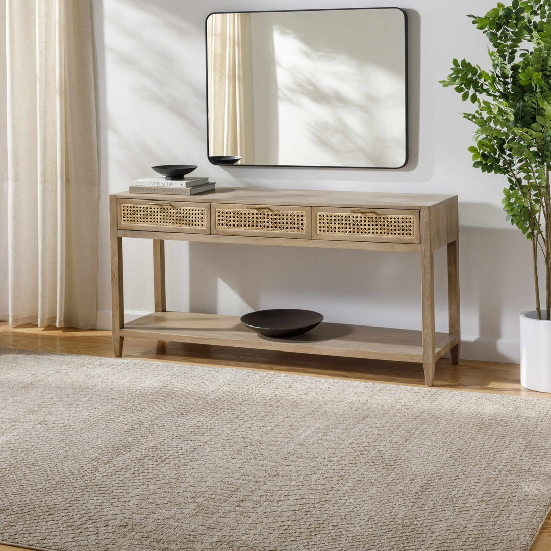 Kaiya Beige Contemporary Style Area Rug - The Rug Decor