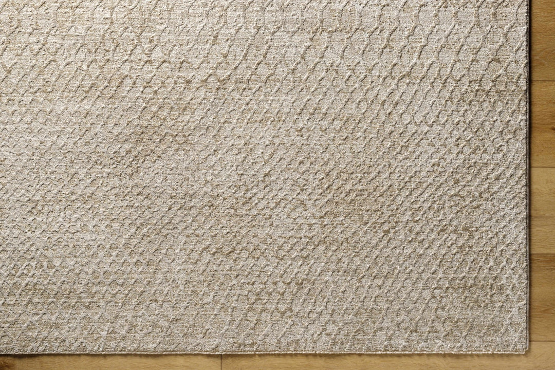 Kaiya Beige Contemporary Style Area Rug - The Rug Decor