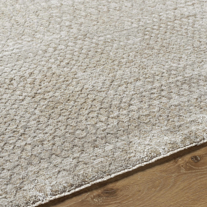 Kaiya Beige Contemporary Style Area Rug - The Rug Decor