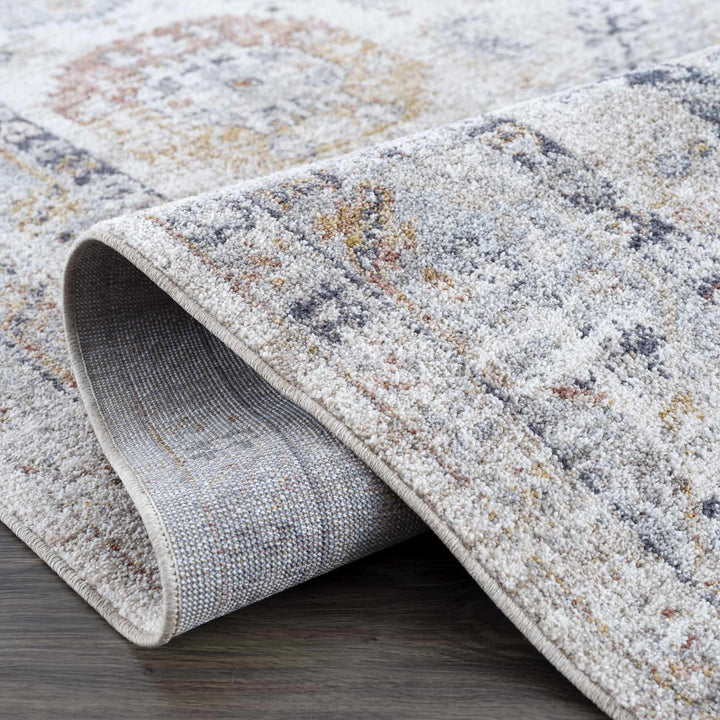 Kamau Brown And Gray Traditional Style Area Rug - The Rug Decor