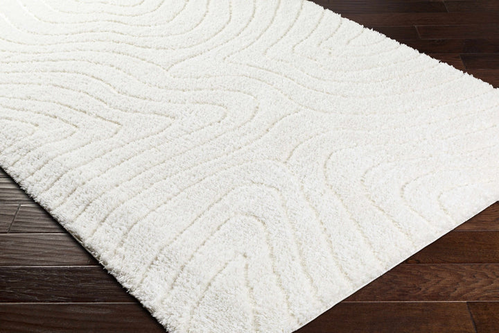 Kanga Contemporary Style Ivory Rug - The Rug Decor