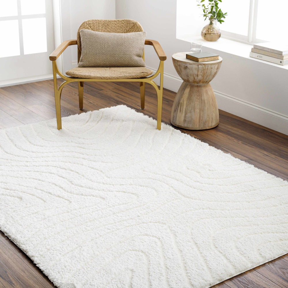 Kanga Contemporary Style Ivory Rug - The Rug Decor