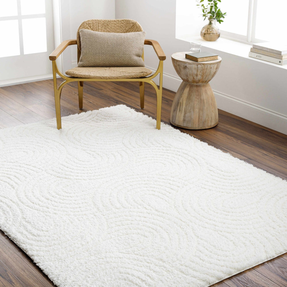 Kaoru Contemporary Style Ivory Rug - The Rug Decor