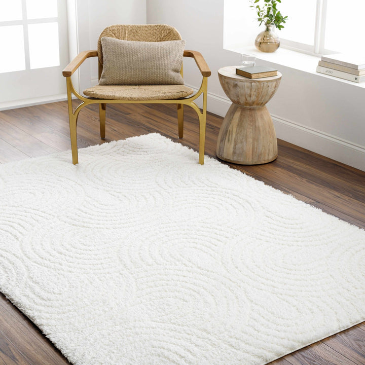 Kaoru Contemporary Style Ivory Rug - The Rug Decor