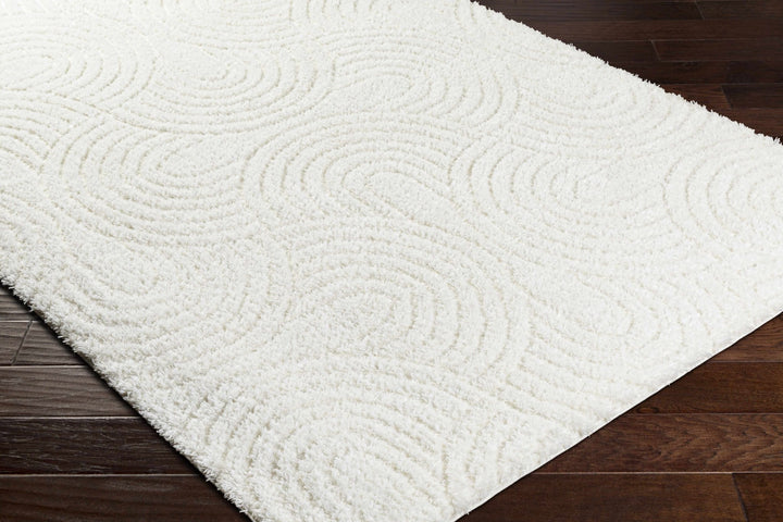Kaoru Contemporary Style Ivory Rug - The Rug Decor