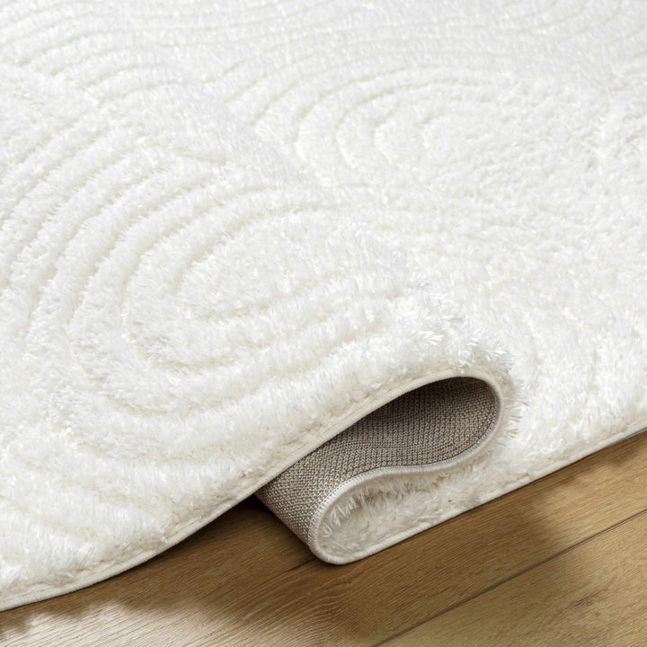 Kaoru Contemporary Style Ivory Rug - The Rug Decor