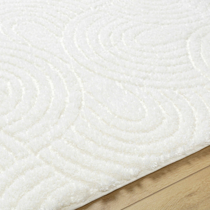 Kaoru Contemporary Style Ivory Rug - The Rug Decor
