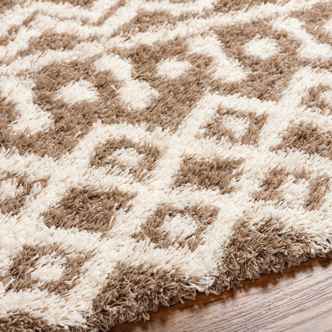 Kato Contemporary Style Brown And Ivory Area Rug - The Rug Decor