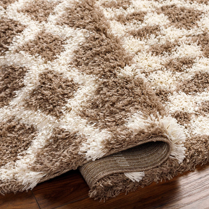 Kato Contemporary Style Brown And Ivory Area Rug - The Rug Decor