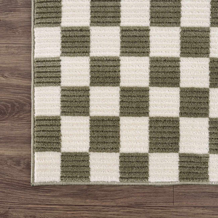 Kaysar Green Modern Checkered Pattern Washable Area Rug - The Rug Decor