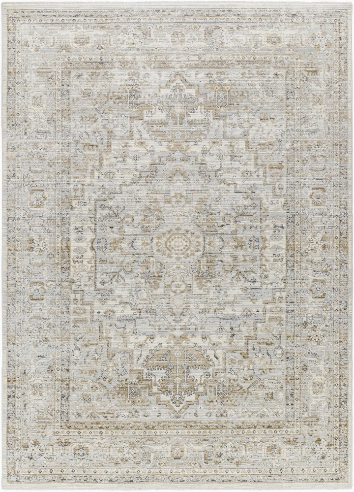 Kazou Gray And Beige Traditional Style Rug - The Rug Decor