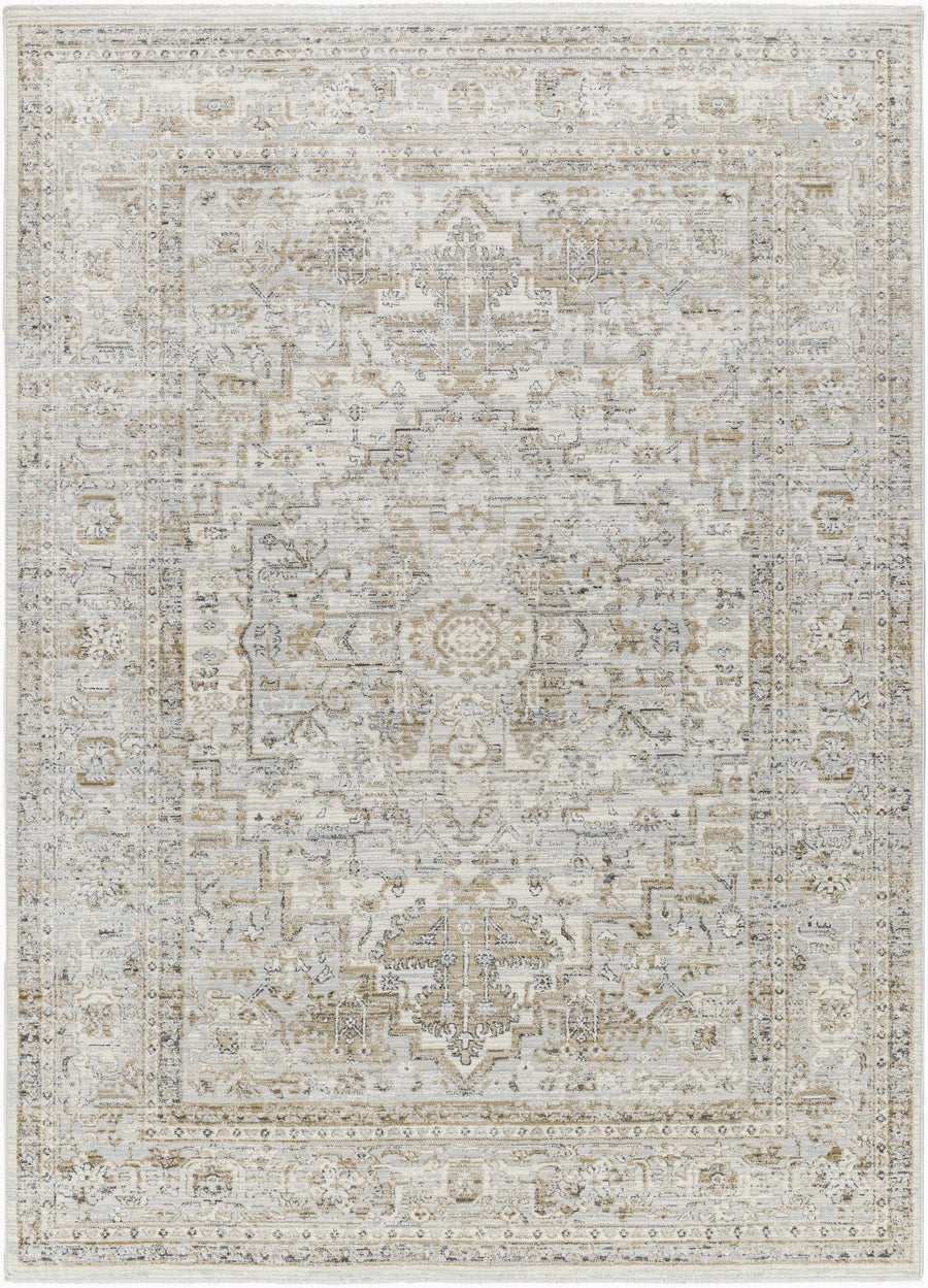 Kazou Gray And Beige Traditional Style Rug - The Rug Decor