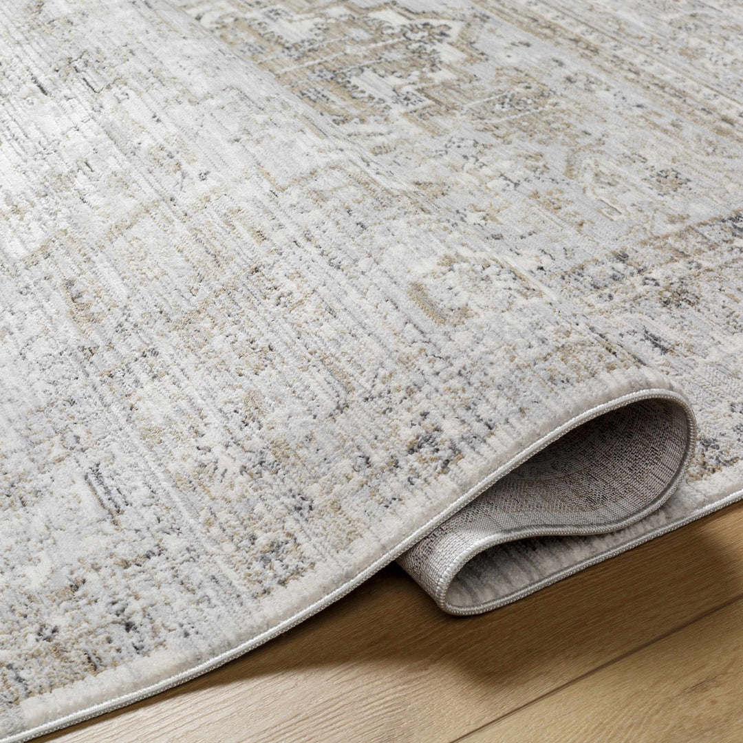 Kazou Gray And Beige Traditional Style Rug - The Rug Decor