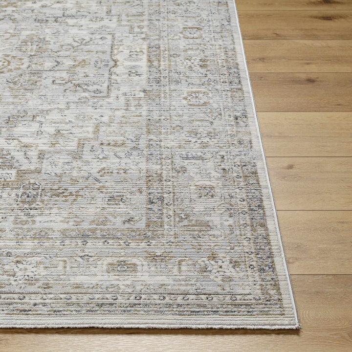 Kazou Gray And Beige Traditional Style Rug - The Rug Decor