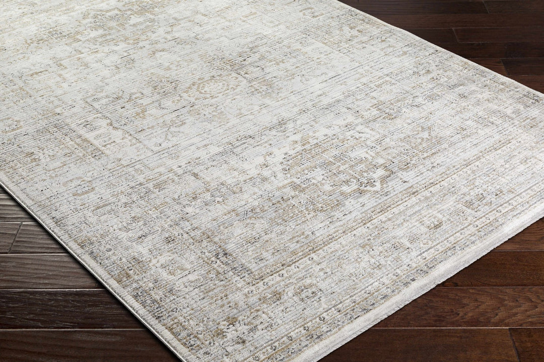 Kazou Gray And Beige Traditional Style Rug - The Rug Decor
