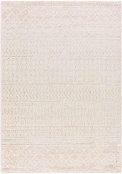 Contemporary Mondern look Ivory and Peach area rug