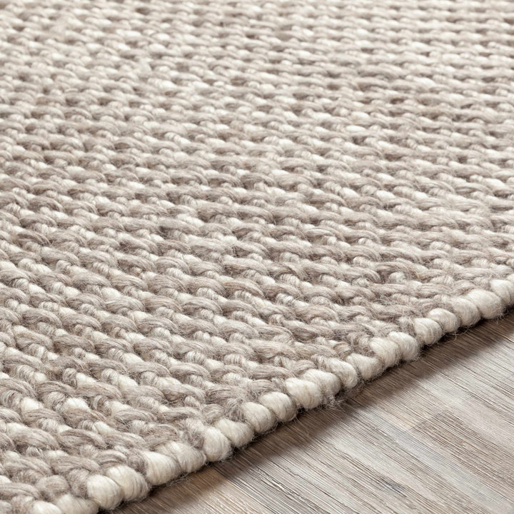 Keldron Hand Woven Beige Modern Style Area Rug - The Rug Decor