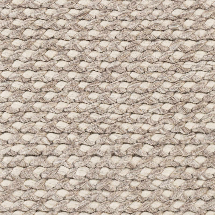 Keldron Hand Woven Beige Modern Style Area Rug - The Rug Decor