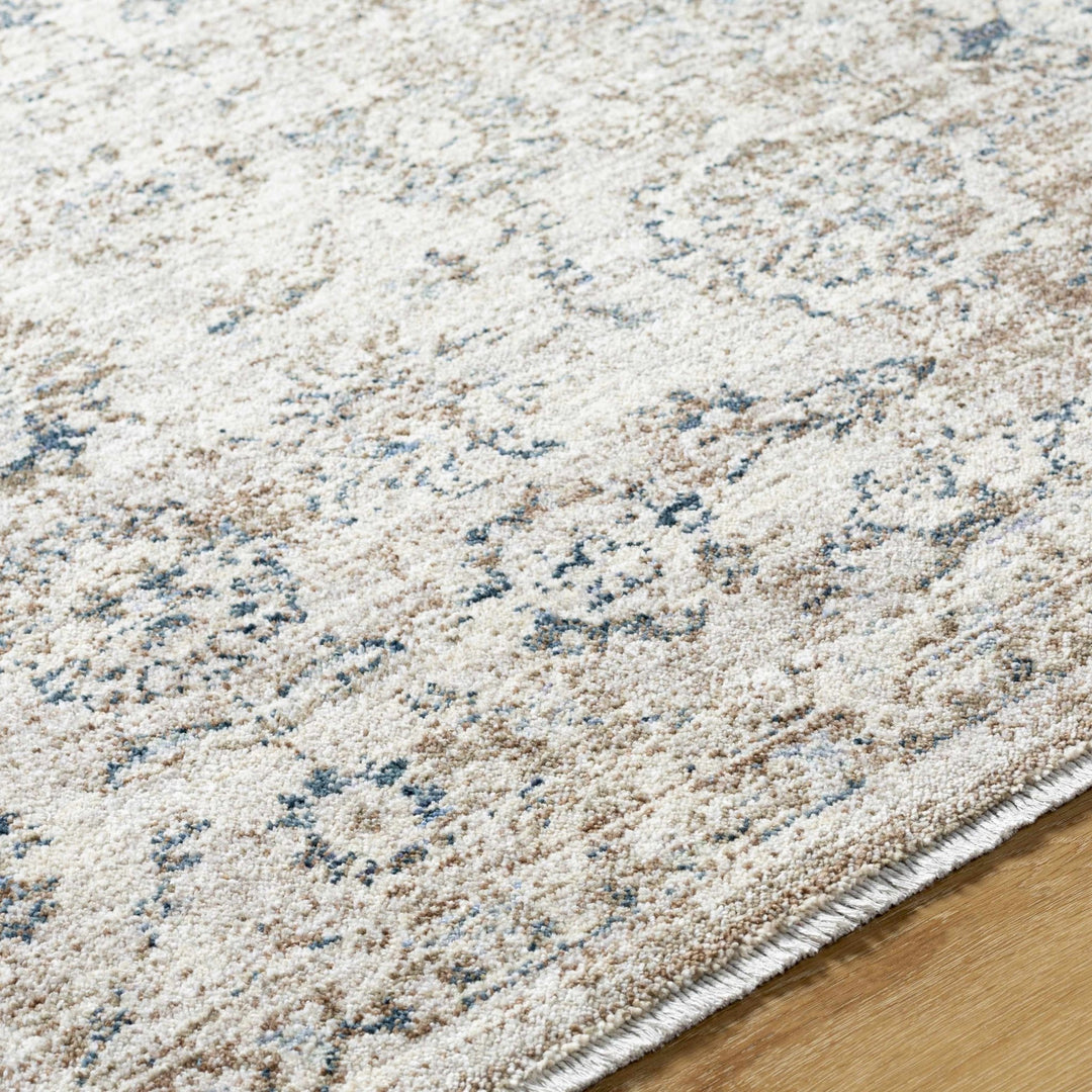 Keran Traditional Beige And Blue Area Rug - The Rug Decor