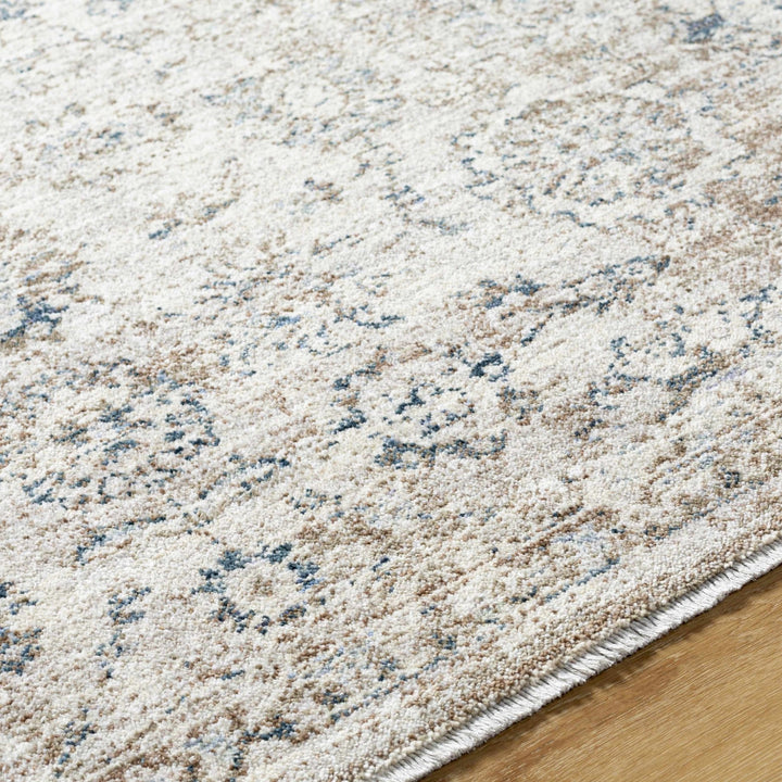 Keran Traditional Beige And Blue Area Rug - The Rug Decor