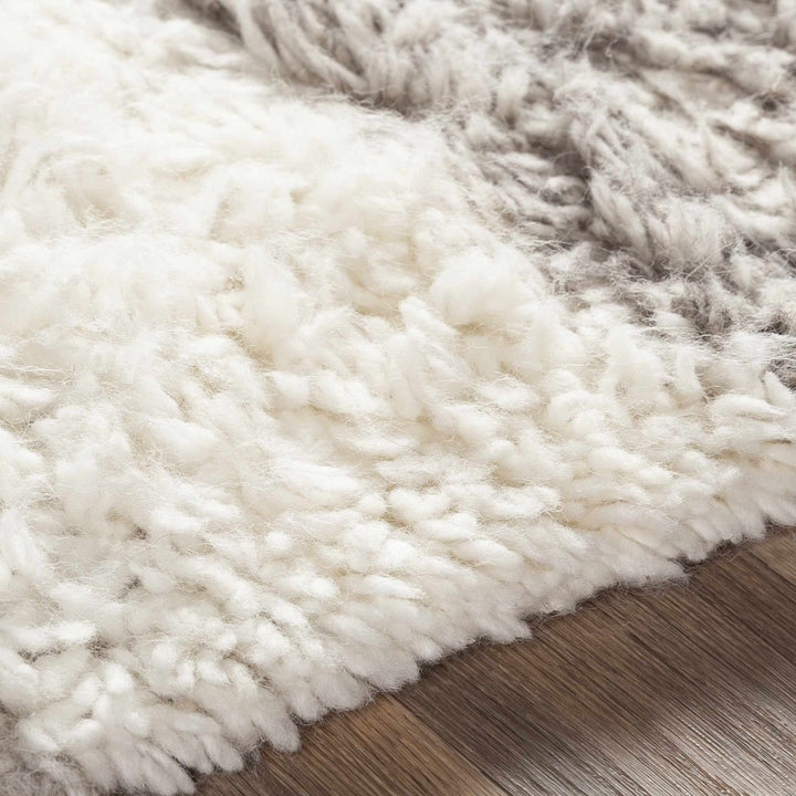 Kingsthorpe Modern Style Ivory And Gray Hand Woven Area Rug - The Rug Decor