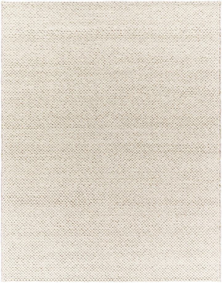 Kimberley Contemporary Style Ivory And Beige Hand Woven Area Rug