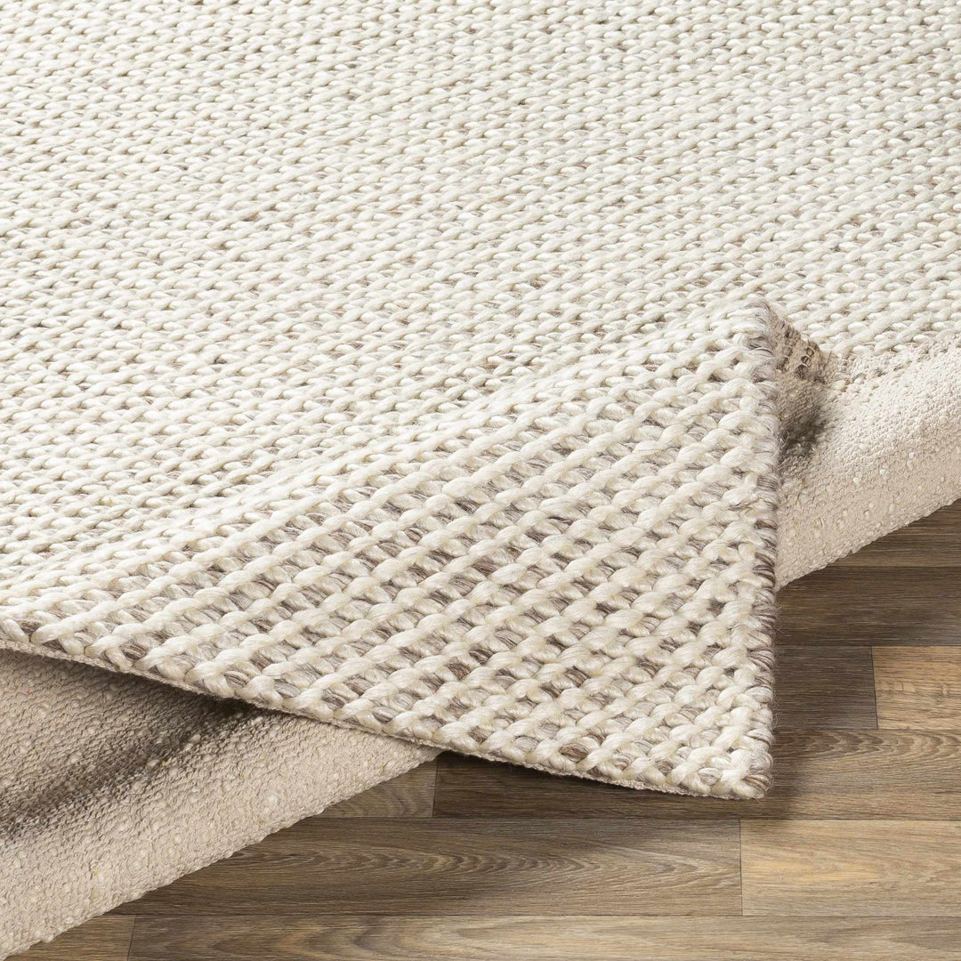 Kimberley Contemporary Style Ivory And Beige Hand Woven Area Rug