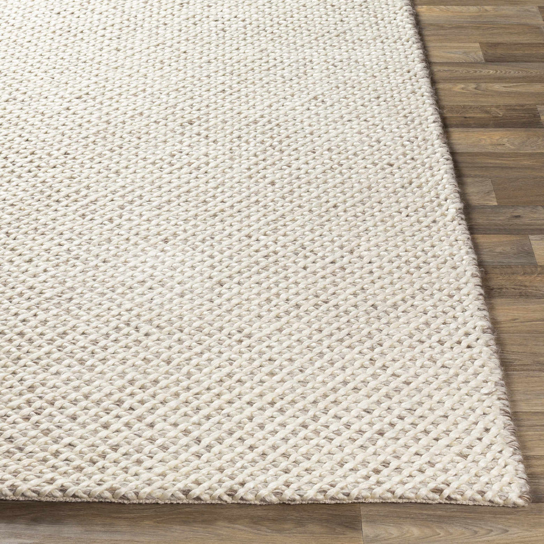 Kimberley Contemporary Style Ivory And Beige Hand Woven Area Rug