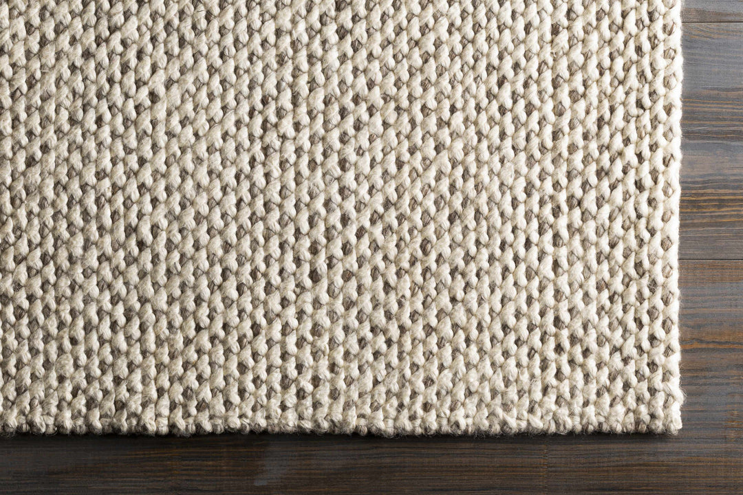 Kimberley Contemporary Style Ivory And Beige Hand Woven Area Rug