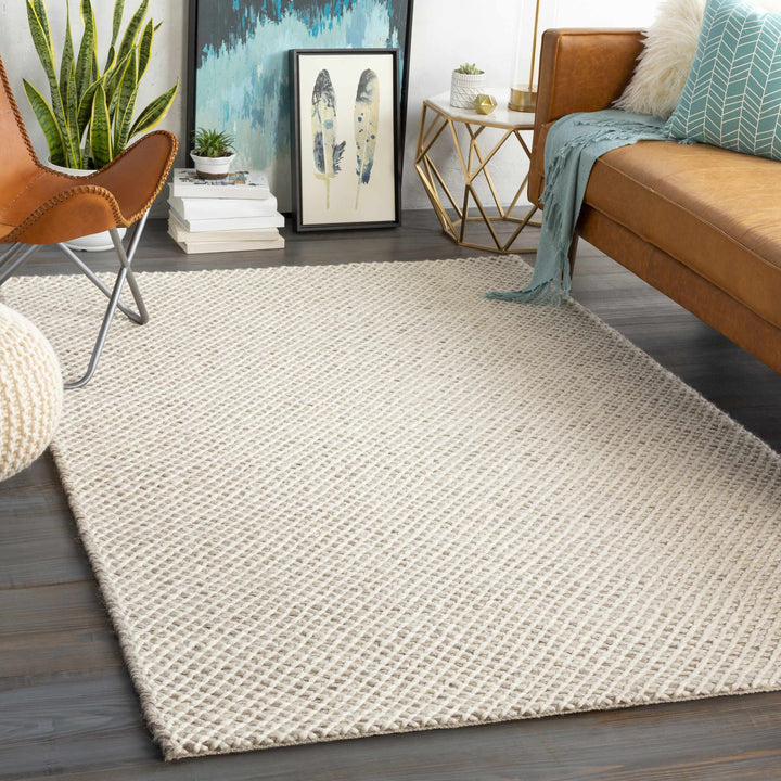 Kimberley Contemporary Style Ivory And Beige Hand Woven Area Rug