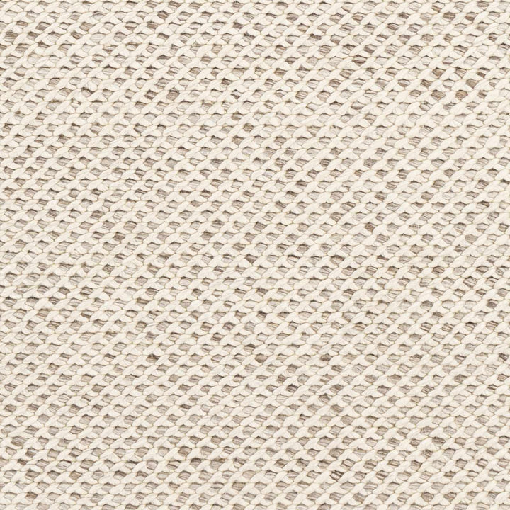 Kimberley Contemporary Style Ivory And Beige Hand Woven Area Rug