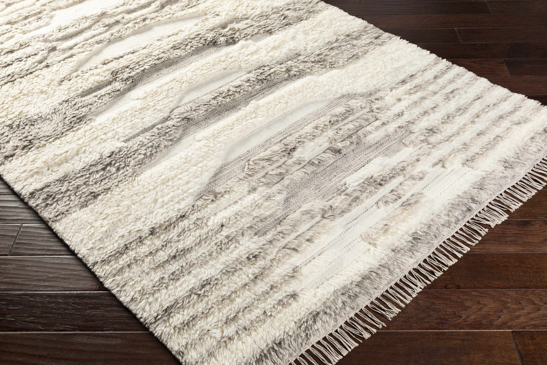 Kingsthorpe Modern Style Ivory And Gray Hand Woven Area Rug