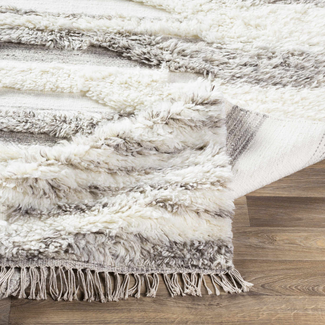 Kingsthorpe Modern Style Ivory And Gray Hand Woven Area Rug