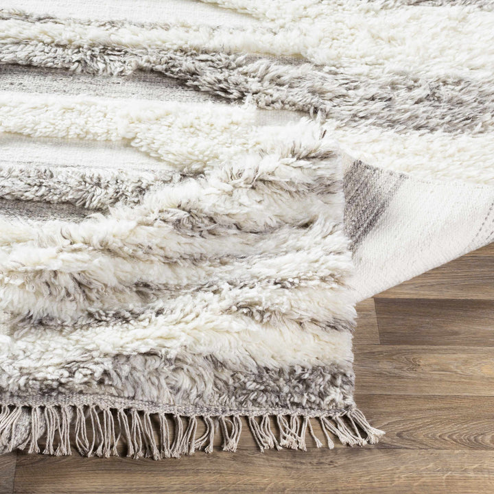 Kingsthorpe Modern Style Ivory And Gray Hand Woven Area Rug