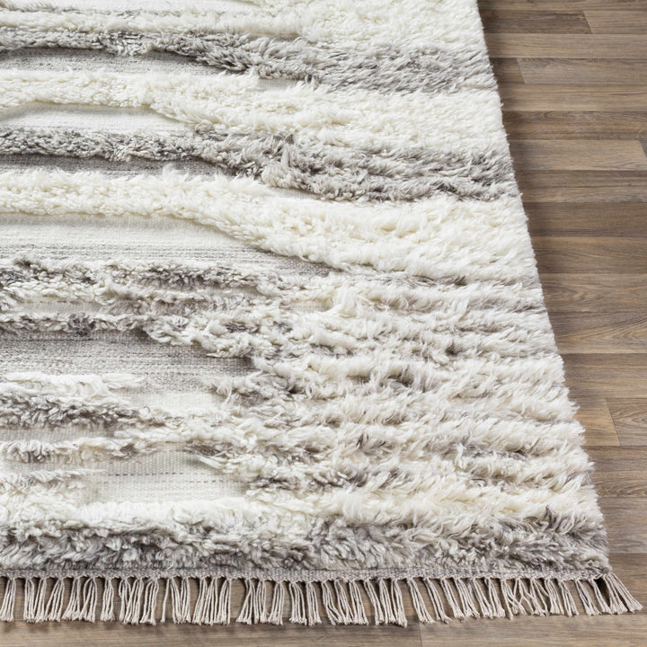 Kingsthorpe Modern Style Ivory And Gray Hand Woven Area Rug