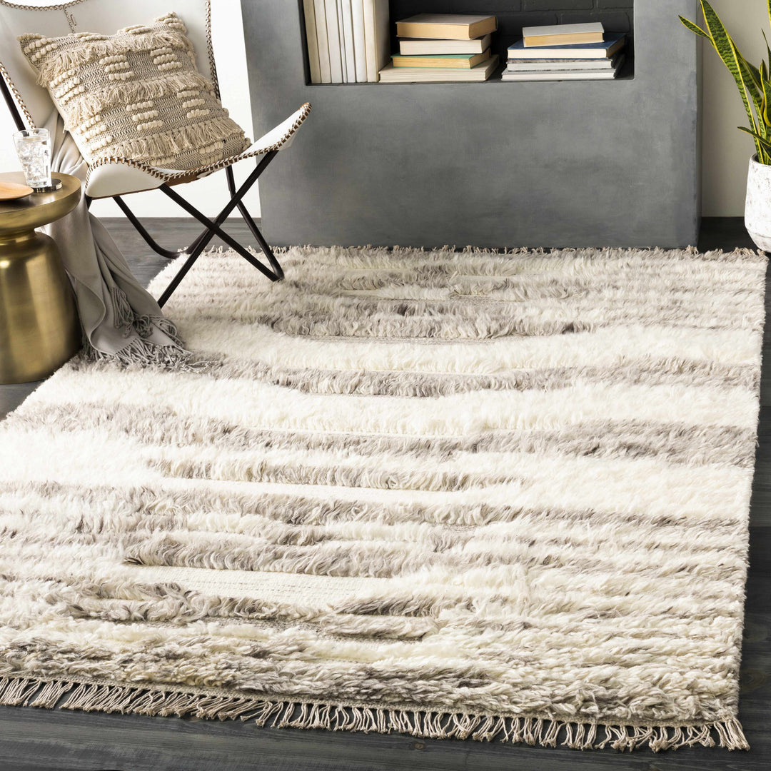 Kingsthorpe Modern Style Ivory And Gray Hand Woven Area Rug